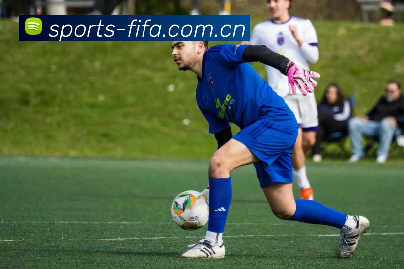 AI Risk Control